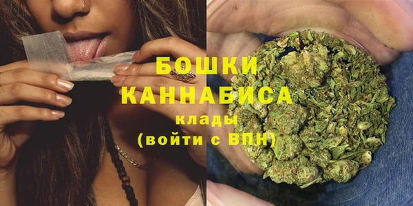 шишки Богородицк