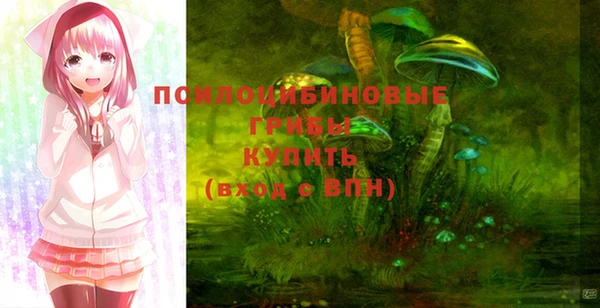 таблы Вяземский