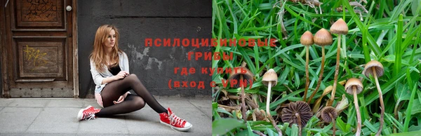 крисы Верхнеуральск
