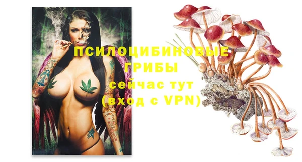 хмурый Костерёво