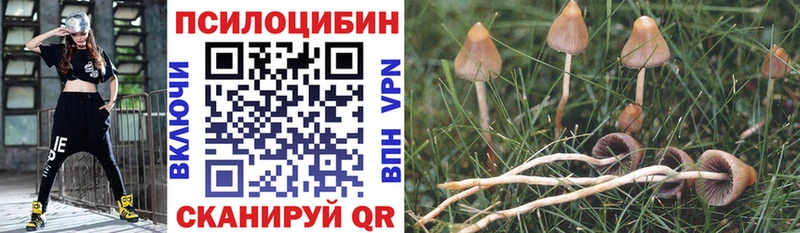 Псилоцибиновые грибы мицелий  ОМГ ОМГ как войти  Железноводск  где найти  